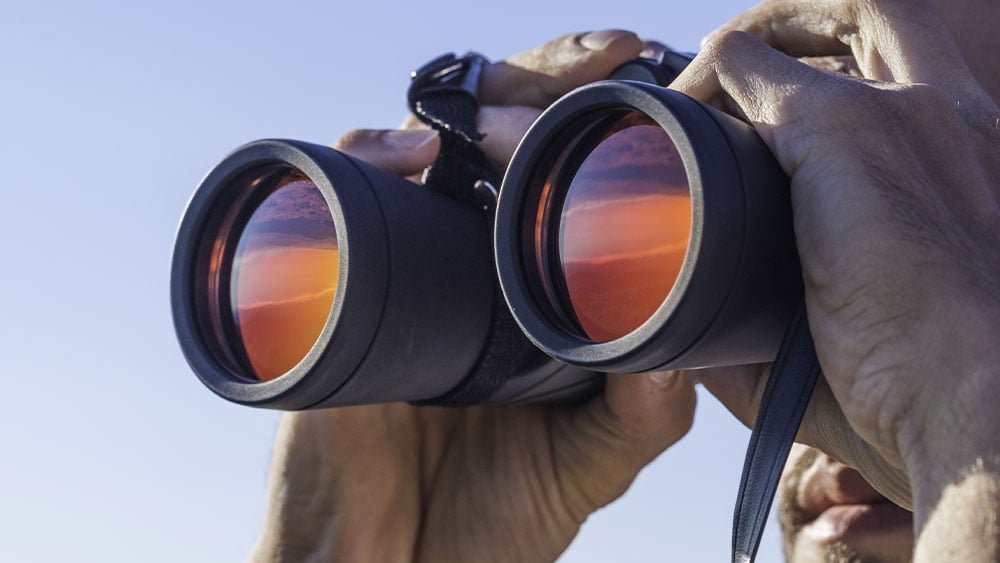 Unlocking Insights: Top 5 Earnings to Watch from Apple, Google, Meta, Amazon, and Microsoft Amid Fed Rate Cuts and Trump-Xi Meetings